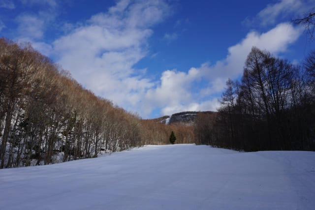 福島のグランデコリゾートの画像