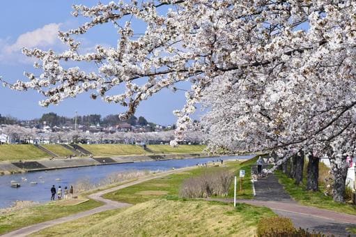 須賀川市の街並みの画像