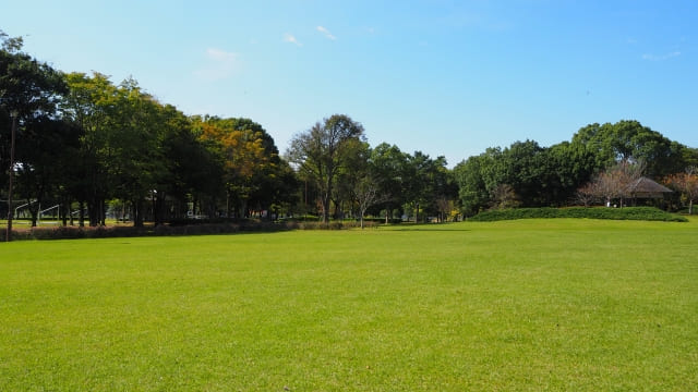 土浦公園の画像