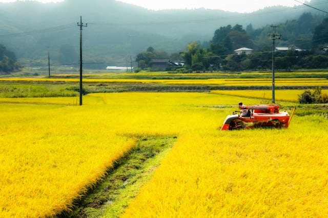 茨城県の農業の様子