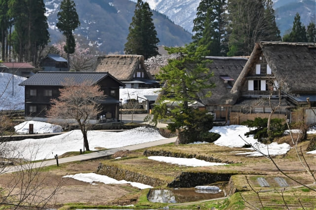 五箇山の相倉集落の風景画像