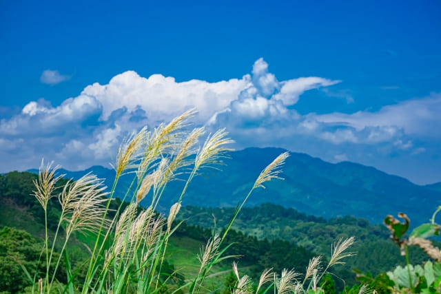 新潟県の風景画像