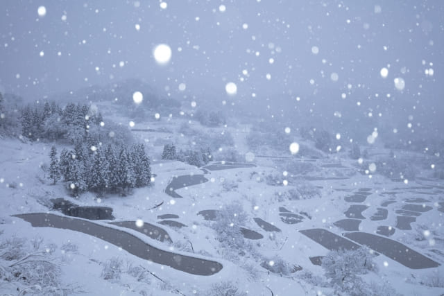 新潟県 星峠の棚田 雪景色