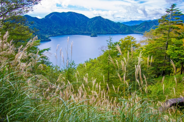 中禅寺湖の風景