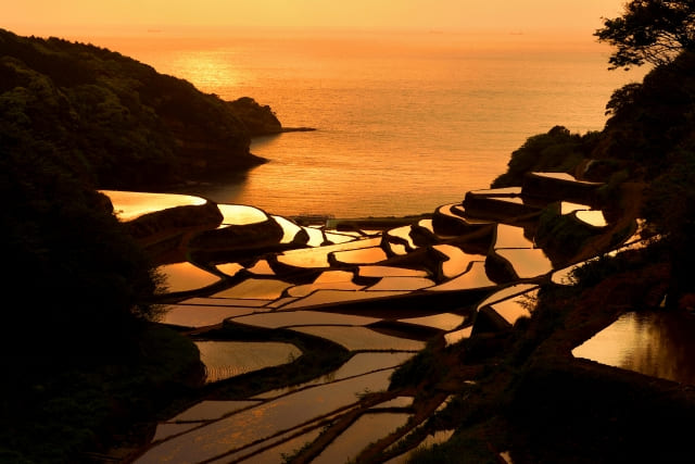 夕日に染まる浜野浦の棚田の風景