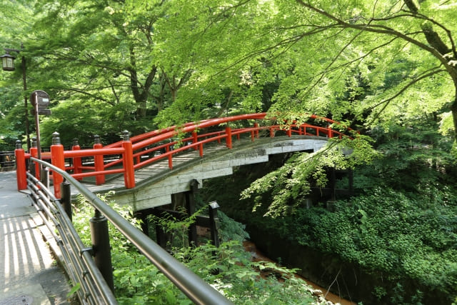 伊香保温泉の風景