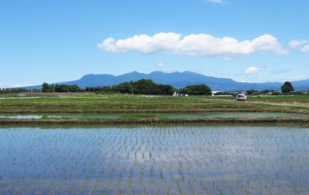 伊勢崎市から見る赤城山の風景